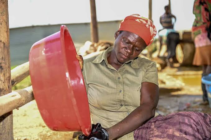 Women in Extractives and Green Enterprise programme